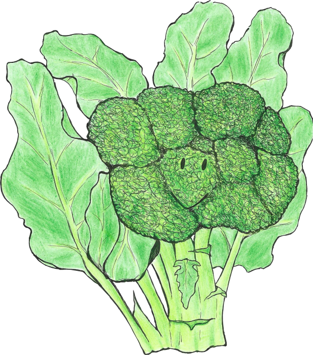 Broccoli_ausgeschnitten